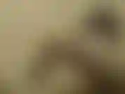 Maid luna acaricia, dedilha e se fode com sua luva de borracha e goza duas vezes! / Maid luna se acaricia, se dedilha e se fode com a luva de borracha, até ter 2 orgasmos!