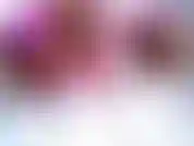 Cordiais pensamentos e votos de umas férias maravilhosas e um feliz ano novo. Que a paz, o amor e a prosperidade te sigam sempre.