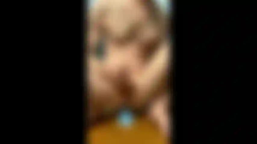 ( Clip) pulando no meu brinquedo e acariciando.