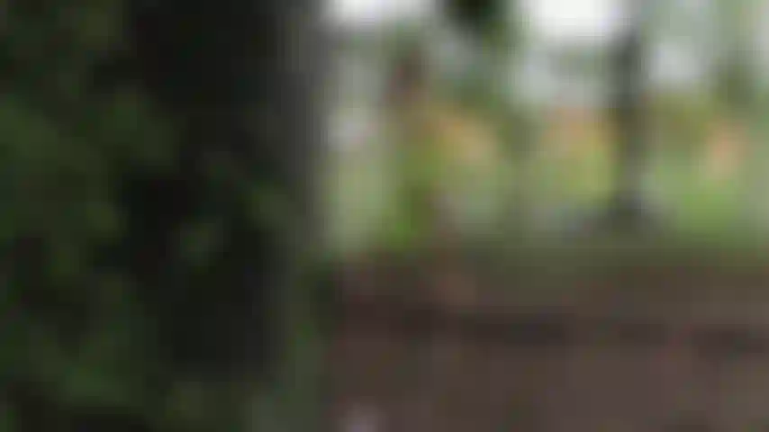 A intimidade da natureza faz com que as roupas de maia caiam lentamente até que ela fique completamente nua para tocar seu corpo descoberto.