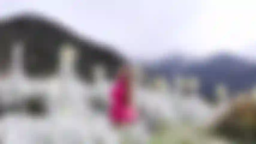 Conheço um pouco do meu país.