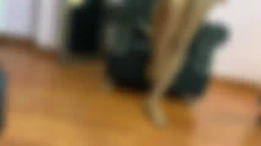 Modelo minha meia-calça para você.