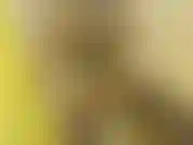 Bbc chuveiro boquete - eu adoro engasgar no seu pau até meus olhos revirarem!