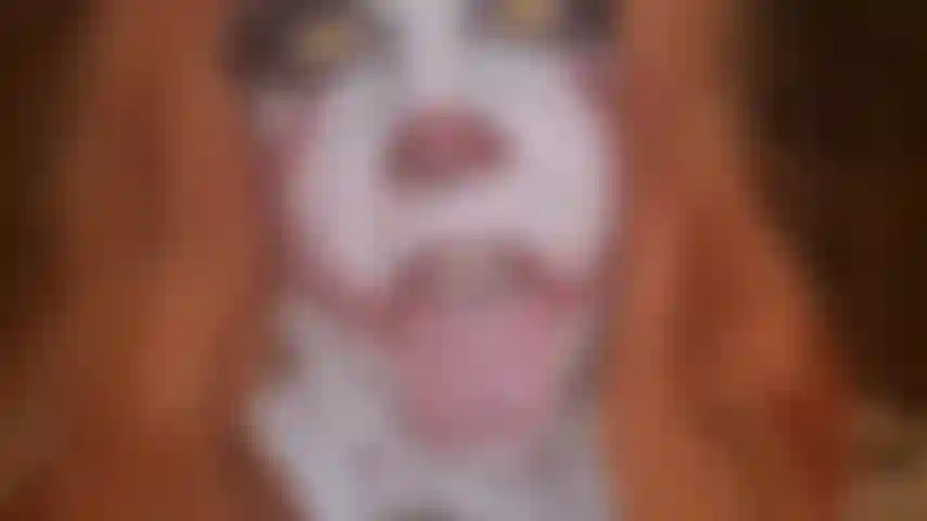 Cosplay de pe ** ywise: dildoplay quente.