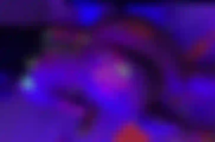 Meu corpo sexy em neon!