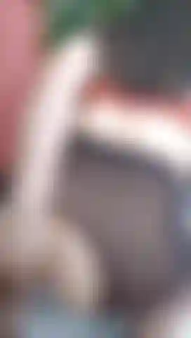 Óleo para meia-calça.