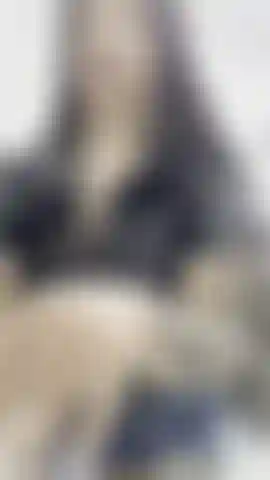 I want you to know my black latex crop top and my tight jeans