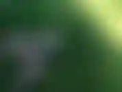 Vídeo tranquilo gozando em um vibrador no meu quintal!