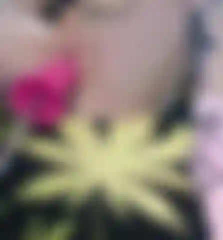 Observe minha bucetinha apertada sendo espancada por um grande brinquedo rosa.