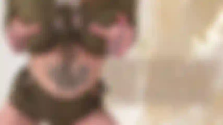 Machuque-se pela deusa tcc.