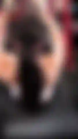 Músculo mamãe? Treino de costas 1.