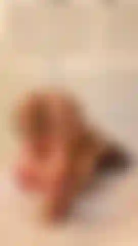 Footjob em posição de cachorrinho no vibrador.