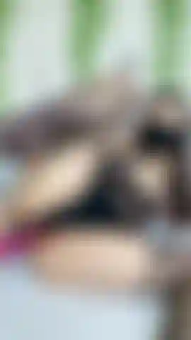 Usando vibrador no meu cu ð.