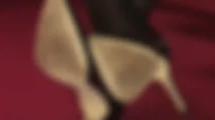 Sob os calcanhares da patroa - como um cachorro no chão esperando pela atenção e comando de seu dono, olhando fixamente para as solas dos meus sapatos.