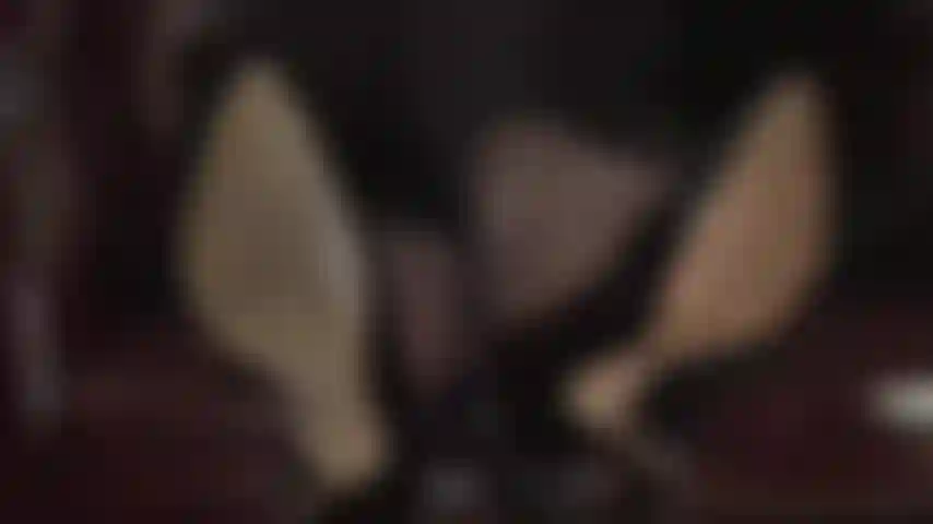 Lamba meus sapatos sujos até limpá-los - os tornozelos cruzados da minha patroa são um tesão enorme, enquanto ela balança sapatos pretos de verniz e te tenta com seus pés de meia-calça. Sua recompensa - cheirar e lamber esses maravilhosos dedos de náilon.