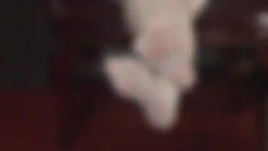 Você não se cansa dos pés da sua amante, estejam eles envoltos em meias-calças brancas brilhantes ou nus. A amante vivian explora seu fetiche por pés.