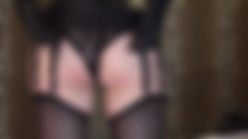 Adoro lingerie - calcinha de renda preta sexy, cinta-liga de 12 tiras e meias. Adoro as curvas maravilhosas da sua deusa.