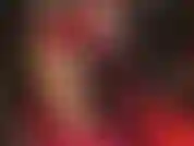 Uma mulher sedutora de vermelho - a patroa sabe muito bem o quão frágil e excitada você é pelas minhas pernas em meia-calça dourada brilhante. Combinada com luvas vermelhas brilhantes e um vestido que está cada vez mais curto... Meu deus!