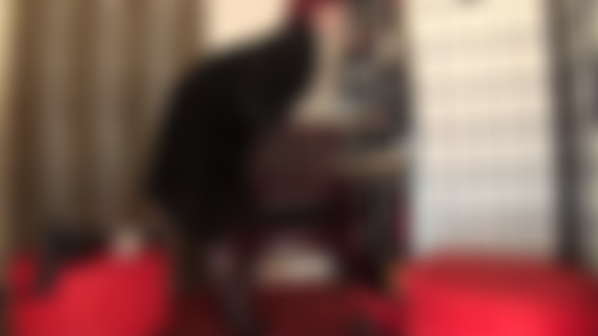 Fur fetish, strap-on, pegging - The fur slave has such a tight asshole.  Dressed in a long black fur coat, riding crop in hand, Mistress surely can persuade him to take her smallest virgin boy strapon while his dick is wrapped in a soft fur shawl.
