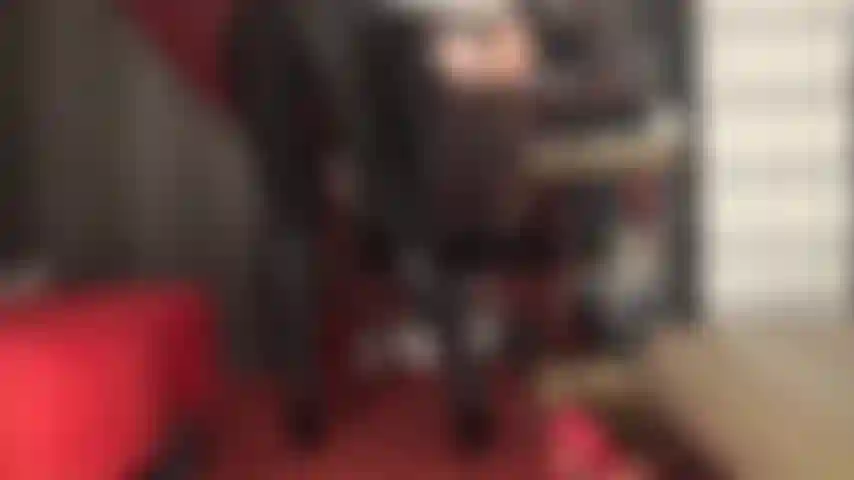 A senhora te deixou cheio de vontade de acariciar seu pau com essas leggings pretas justas de spandex e botas de couro na altura do joelho.