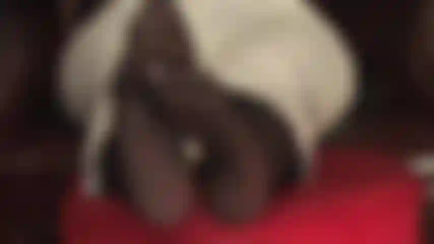 Alimentando seu vício em fetiche por pés - a amante vivian balança seus lindos pés de meia-calça na sua cara.