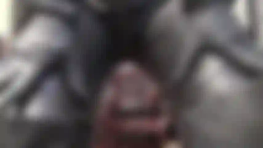 Vestida inteiramente em couro preto, a senhora vivian usa um macacão com zíper, botas longas de couro e luvas para satisfazer os entusiastas por couro.