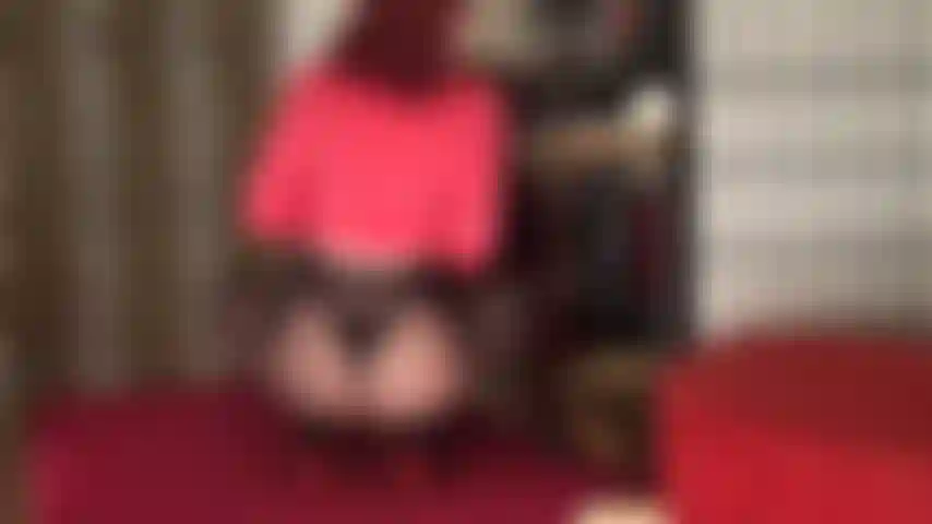 Vista seu pau e suas bolas e se esgote com minha bunda fantástica, quadris e coxas em preto e meia-calça bem transparente.