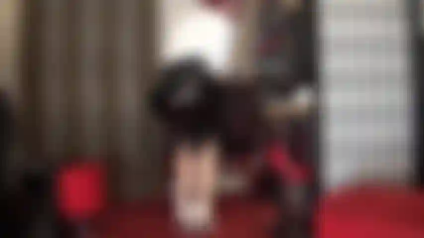 Você é um punheteiro para a bunda e virilha da patroa de meia-calça. Você se masturba sem parar. Você simplesmente não consegue parar de se tocar. Cuspo no seu pau, bato palmada, bato punheta, perdedor.