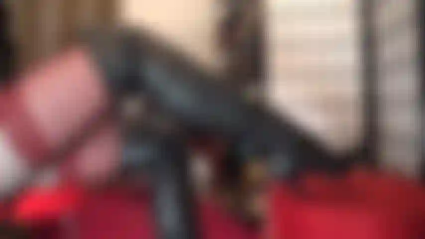 Tenho fetiche por botas e luvas de couro.