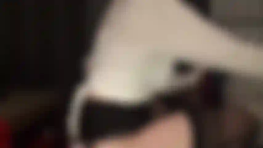 Amante de spandex - a amante exibe sua incrível coleção de meias-calças de spandex e então a observo trocar as meias e ligas por um par de leohex marrom brilhante.