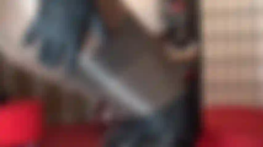 Que incentiva a masturbação e adora o corpo usando várias camadas de meia-calça brilhante e meias combinadas com calcinhas de couro preto e correntes.