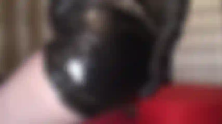 Adore minha bunda de couro preto e meia-calça - minha bunda deixa você fraco nos joelhos, você deve se submeter às minhas curvas perfeitas de couro e meia-calça.