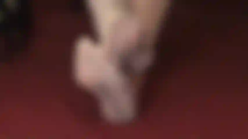 Meias com costura nos dedos, tão transparentes - meias cor marfim com lindas costuras são um deleite visual para qualquer garoto de programa.