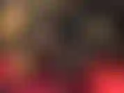 Que adora um pau preto enorme.