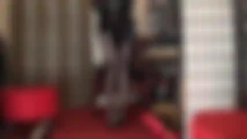 Meia-calça de spandex marrom metálico com brilho extremo - a amante exibe suas pernas poderosas e bunda perfeita com essa meia-calça de alto brilho.