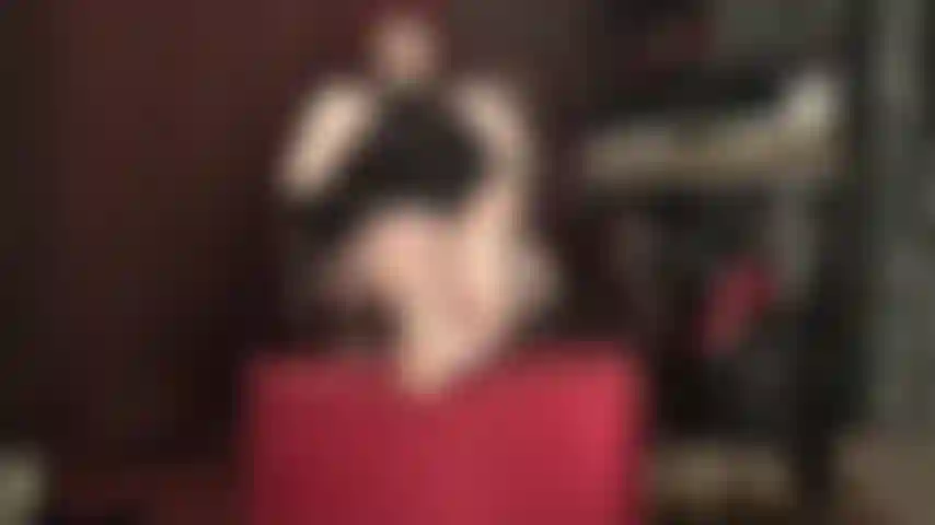 Pés descalços tentadores - você se ajoelha do outro lado da sala, com coleira, guia e trancada em castidade, babando. Você faria qualquer coisa para se aproximar e poder adorar as solas macias e perfeitas e os dedos sensuais da sua mestra.