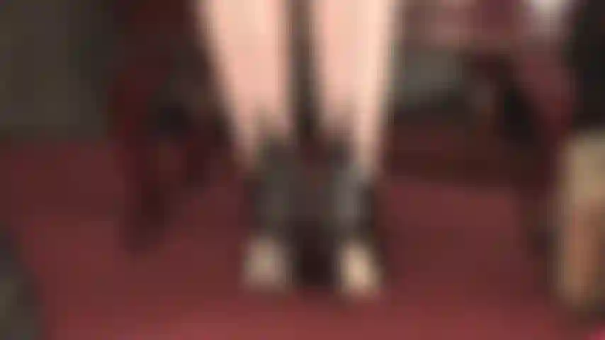 Espartilho de salto alto com cadarço nas costas - adoração por saltos, fetiche por pés, meia-calça com costura, mergulho nos sapatos, arcos altos, luvas de couro e provocação com chicote de montaria.