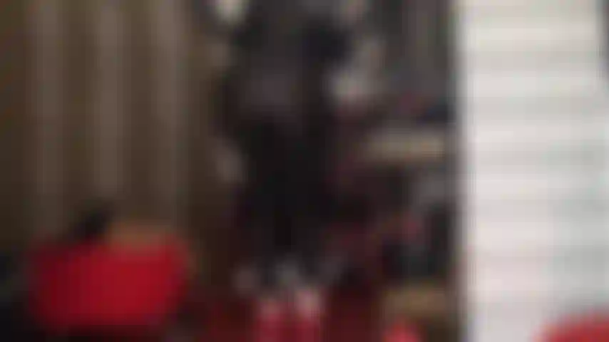 Viciada na bunda perfeita da amante vivian - aproveite essa adoração de bunda, desde leggings de spandex pretas e brilhantes até a bunda nua em uma tanga azul-marinho.