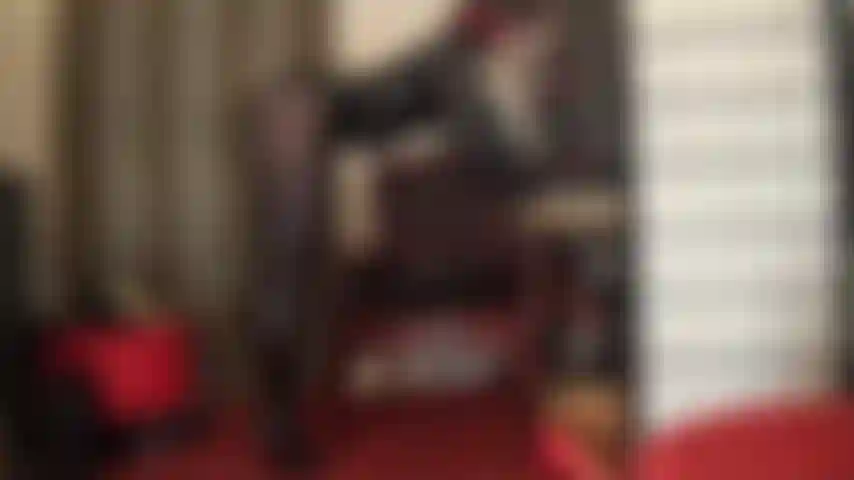 Adoradora de uma deusa de pvc brilhante - este é um traje fetiche ao qual você não pode resistir. Brilhante da cabeça aos pés, com vinil preto brilhante, botas de cano alto e meias-calças pretas.