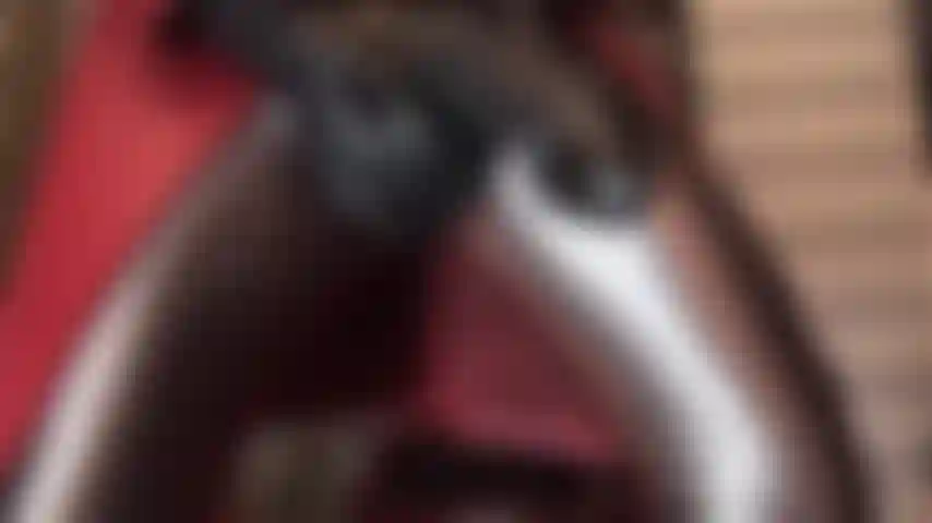 Dominação com cinta-liga tamanho rainha - a amante vivian fura sua bunda e enche sua garganta com seu bbc mais gordo e carnudo.