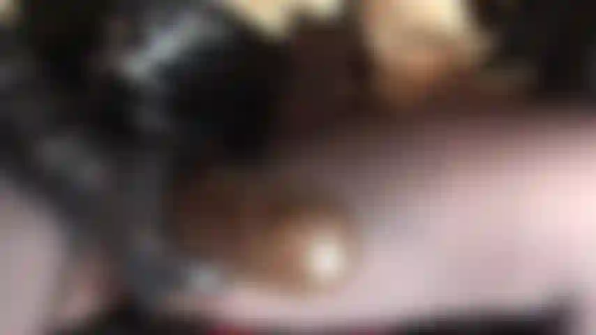 Um delicioso chocolate marrom grosso e carnudo com cinta-liga. Bam é o nome dele e "bam!" Ele vai ser fodido na sua boca de vagabunda.