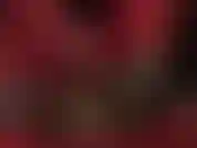 Fetiche por pés, punheta com os pés - seu pau de escravo coberto de náilon é ordenhado pelas luvas vermelhas macias e pelos pés de meia-calça transparente da sua deusa.