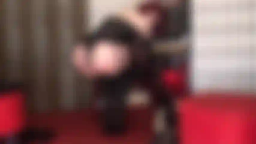 Sentada na cara com essa roupa quente de meias, ligas, espartilho de couro, botas até a coxa e luvas longas de couro... Imagine essa bunda nua incrível abaixada no seu rosto enquanto a patroa abre as nádegas.