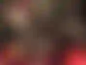 Curve-se diante da sua deusa. Adore e pague!