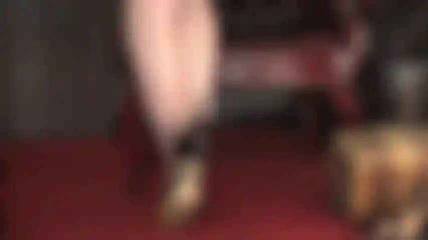 A senhora exige adoração por suas sedutoras costuras pretas e seus sapatos de salto alto, com seu chicote de montaria liderando o caminho.