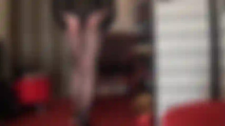 Uma linda meia-calça com padrão em zigue-zague. Adoro as curvas hipnotizantes da minha amante neste par especial de meias-calças.