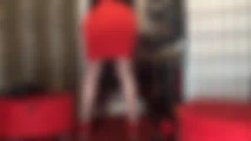 Meia-calça cinza transparente com costuras, pernas estampadas e vista para cima da saia. Este é um par de meias-calças lindo e único para se adorar.