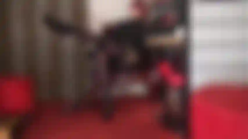 Sedução com meias e ligas - há algo sobre meias largas de renda e ligas sobre meia-calça que deixa o pau do seu escravo duro e pulsante...