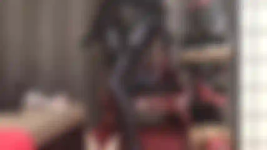 Lentamente, muito lentamente, a amante vai provocar o esperma do seu pau com sua bunda brilhante, pernas e pés em meia-calça de elastano leohex cinza e meias-liga em camadas.