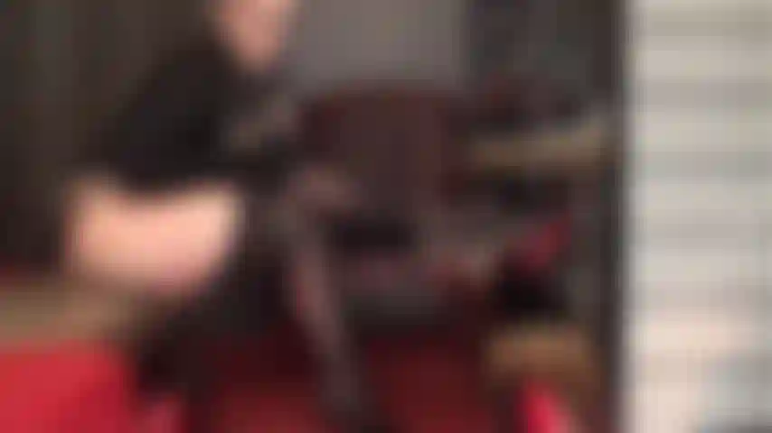 Fetiche por pernas cruzadas - a senhora acaricia o pau do seu escravo com seus sensuais saltos agulha pretos envernizados e meia-calça brilhante.